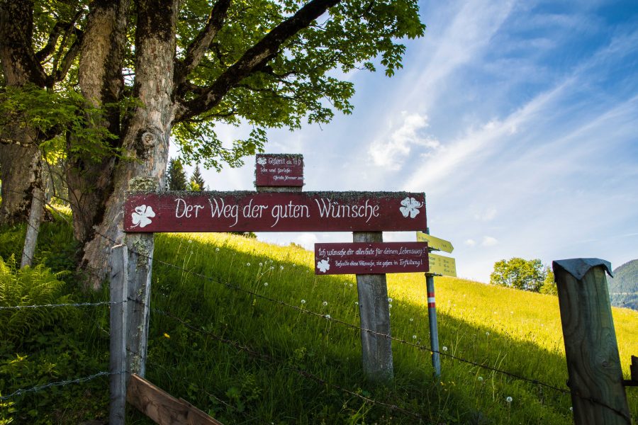 Waldtanken in der Salzburger Sportwelt_Weg der guten Wünsche